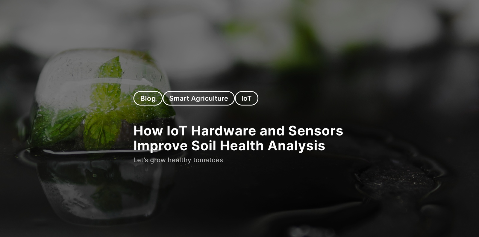 How IoT Hardware and Sensors Improve Soil Health Analysis